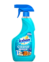 Kalyon Spray Cleaner with Silicone