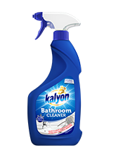 Kalyon Spray Bathroom